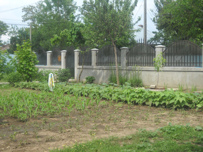 DSCN0568