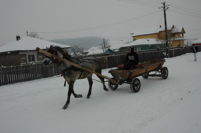 1 (18) - A sosit iarna la Iasi 2012