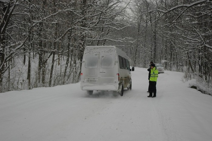 in padure la Bordea - A sosit iarna la Iasi 2012