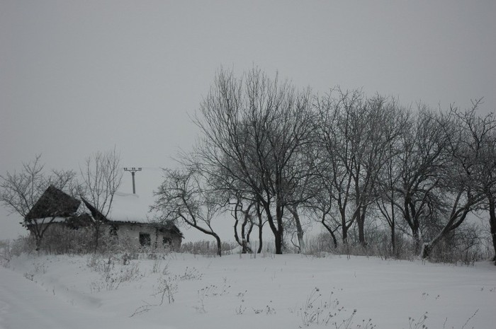 casa izolata Ursita - Hadimbu - A sosit iarna la Iasi 2012