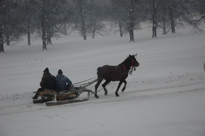 1 (36) - A sosit iarna la Iasi 2012