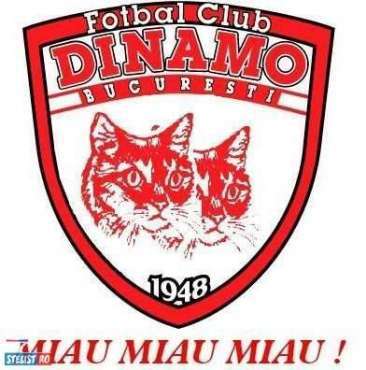 dinamo-miau_