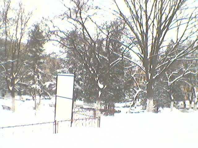 iarna in Tasnad parcul din centru