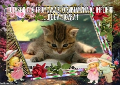  - 3  B  ANIMALE  3