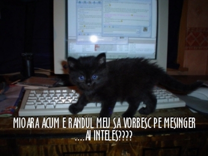 c9cc1ca152459c1e35405b7fadbc825a - 3  B  ANIMALE  3