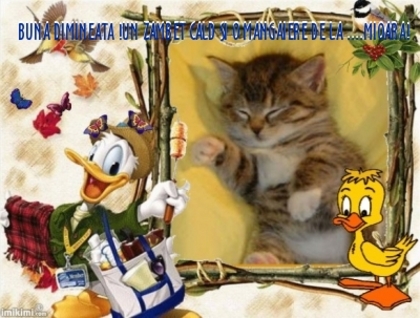 eb898f15f4640734e03f25a9c1ea1dd8 - 3  B  ANIMALE  3