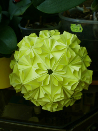 P5020548_resize - origami