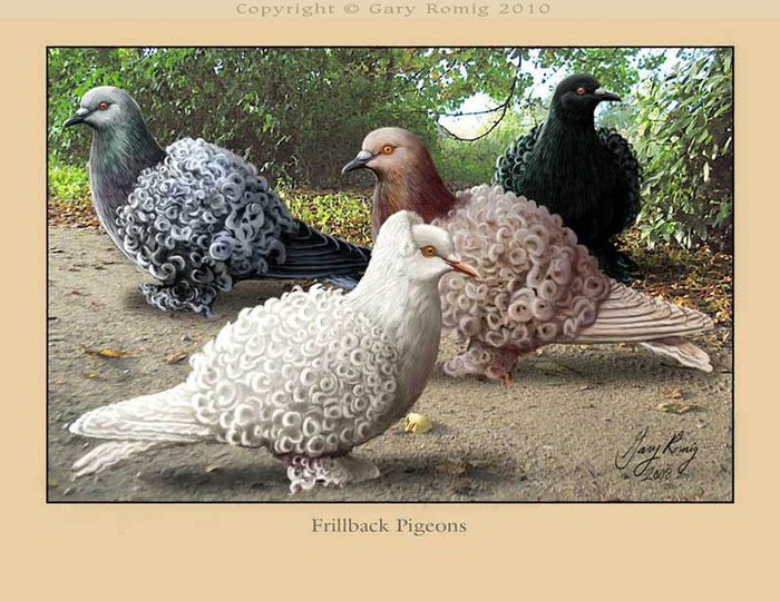 262283_164259666977825_139017656168693_382603_233477_n