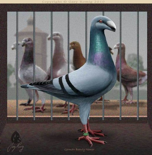 262283_164259670311158_139017656168693_382604_932992_n