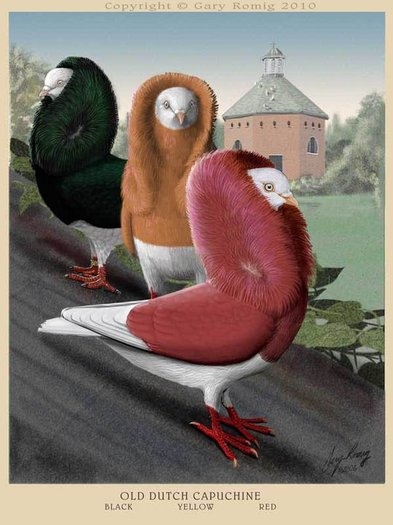 263043_164257343644724_139017656168693_382586_1846475_n