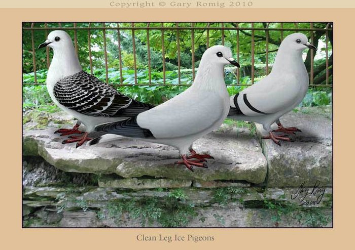 263043_164257346978057_139017656168693_382587_6735162_n