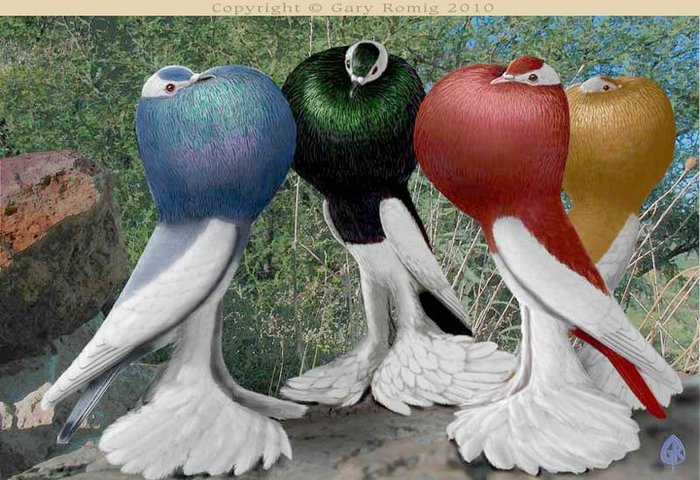 263833_164263073644151_139017656168693_382641_7395169_n