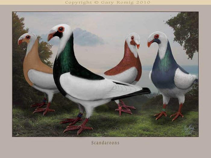 264315_163999667003825_139017656168693_381718_31315_n