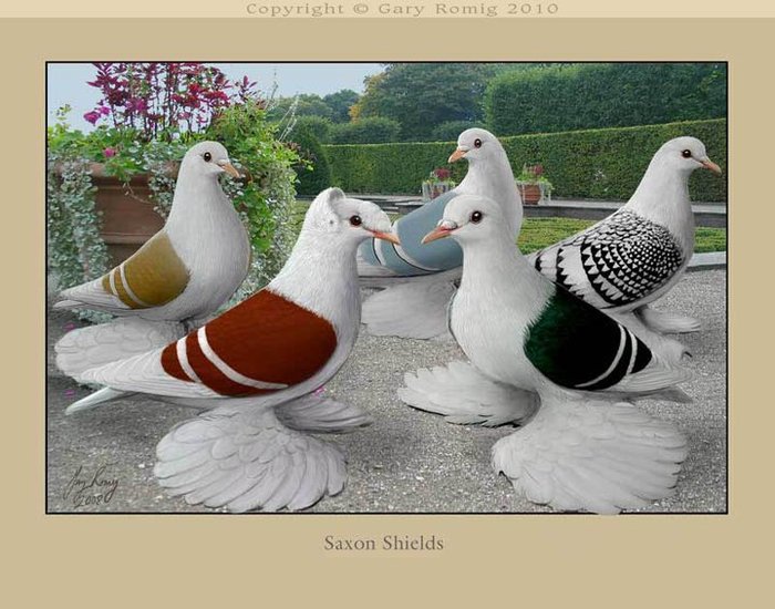 264984_164265100310615_139017656168693_382651_6002998_n