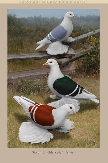 264984_164265103643948_139017656168693_382652_4597191_n