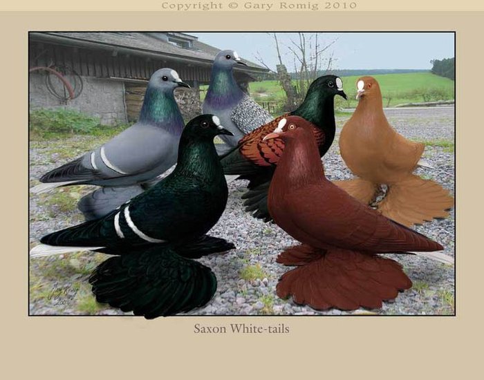 264984_164265110310614_139017656168693_382654_104040_n