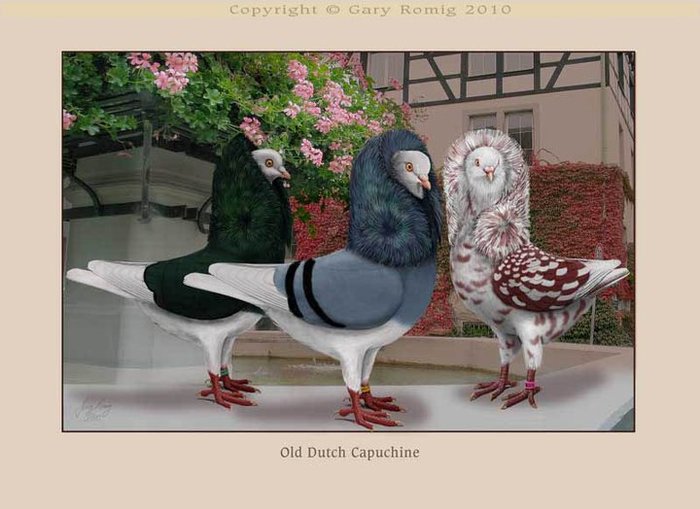 267428_164262406977551_139017656168693_382626_7514270_n