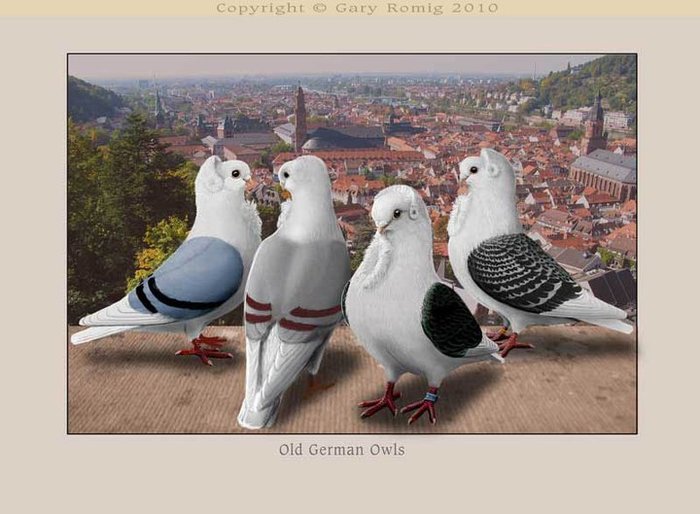 267428_164262410310884_139017656168693_382627_4948103_n