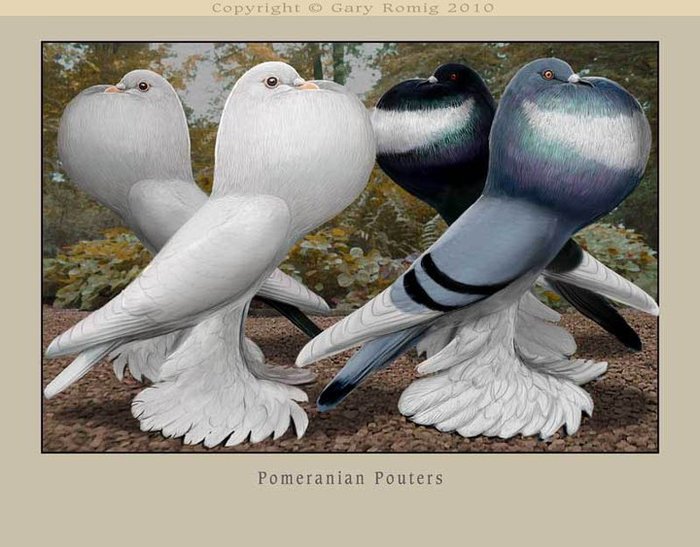 267428_164262420310883_857359_n