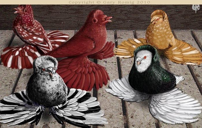 267675_164258033644655_139017656168693_382593_2445996_n