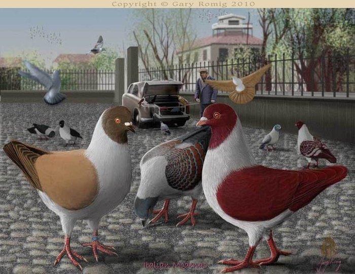 268061_164261216977670_139017656168693_382615_815366_n