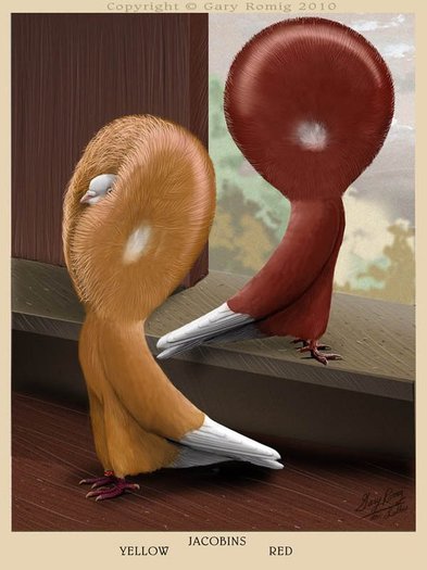 268061_164261223644336_139017656168693_382617_6968970_n