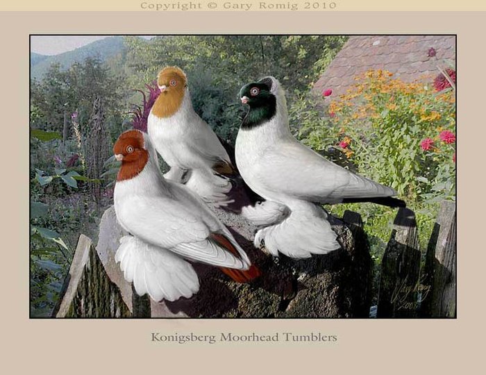 268061_164261226977669_139017656168693_382618_4341464_n