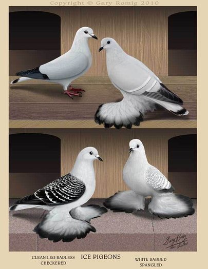 268202_164260503644408_139017656168693_382613_4933369_n