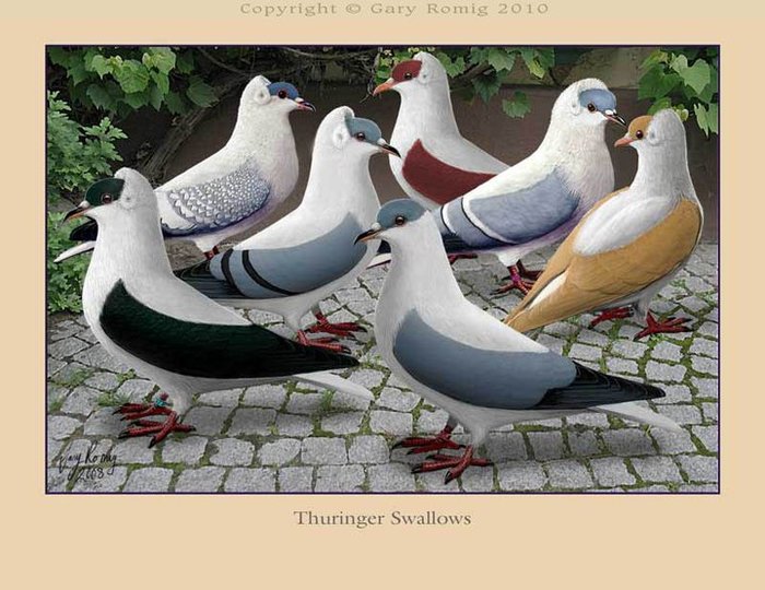 268322_164266660310459_139017656168693_382663_3281583_n