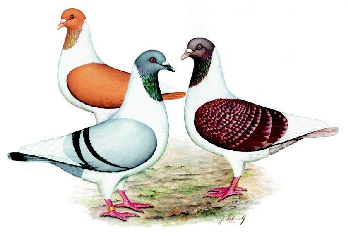 308105_213208628749595_139017656168693_520666_1754916564_n