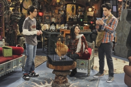 normal_www_selenaonline_org-004~2