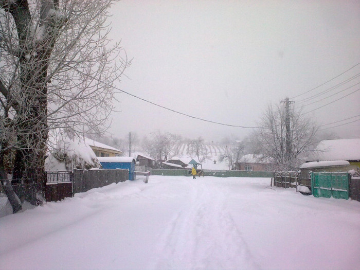 Image4072 - iarna in sat
