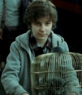 183 - Harry Potter si Talismanele Mortii 2010-2011