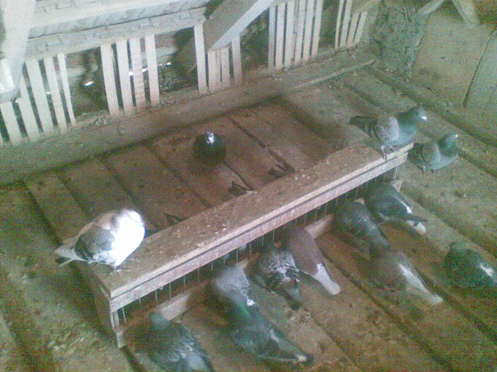 05022012(007) - Poze noi