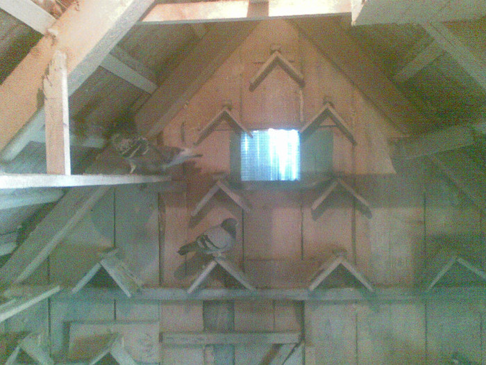 05022012(008) - Poze noi