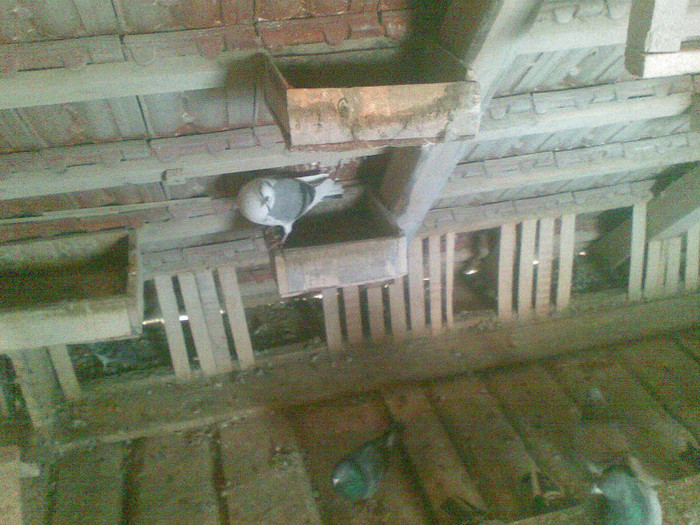 05022012(011) - Poze noi