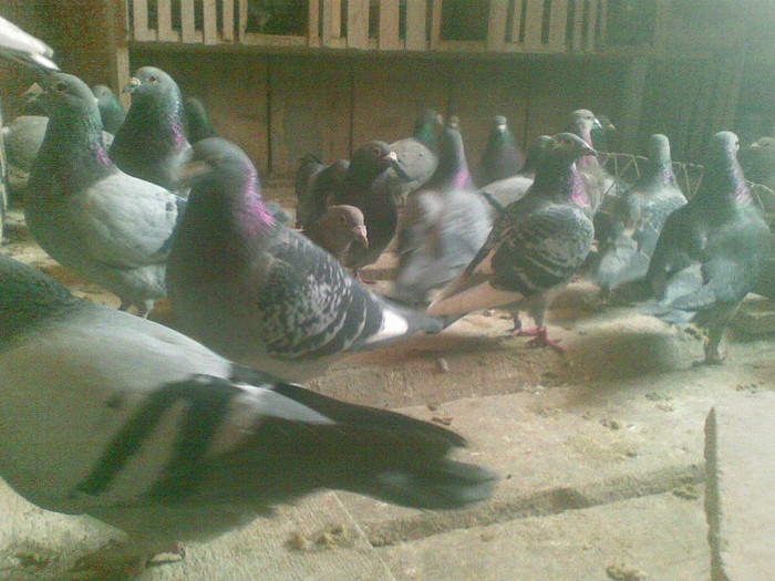05022012(012) - Poze noi