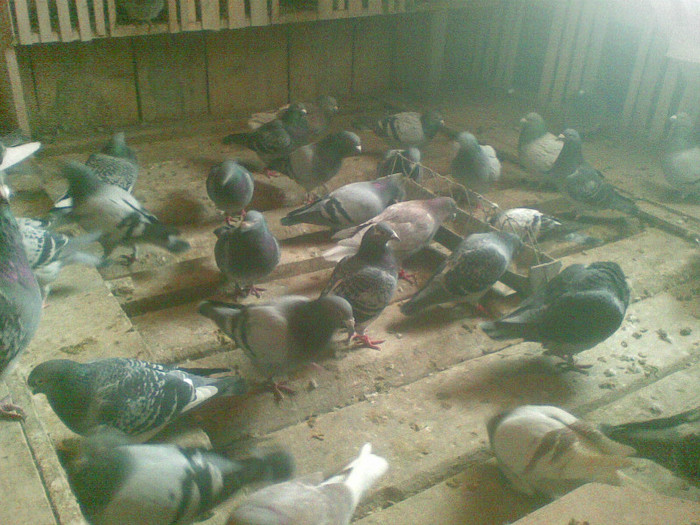 05022012(013) - Poze noi