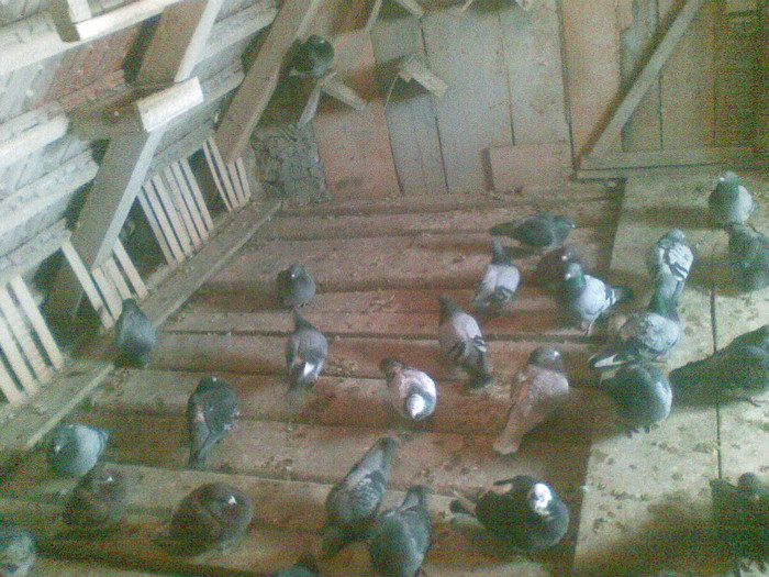 05022012(017) - Poze noi