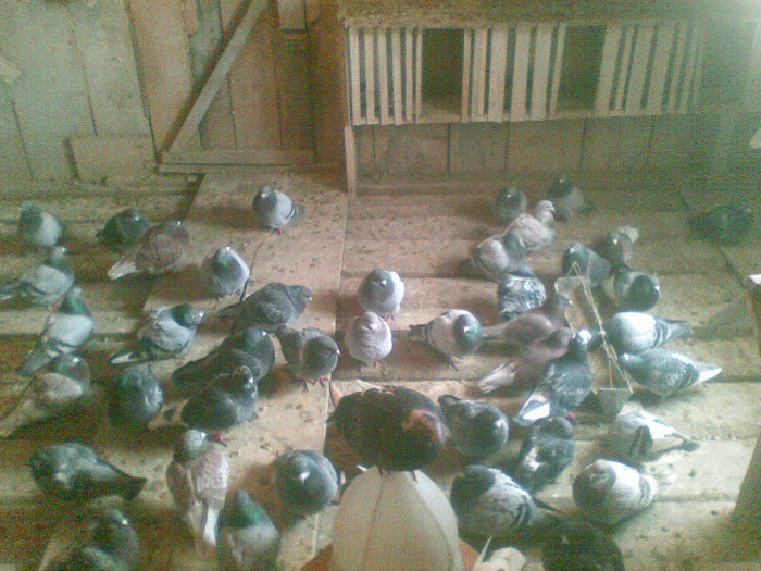 05022012(019) - Poze noi