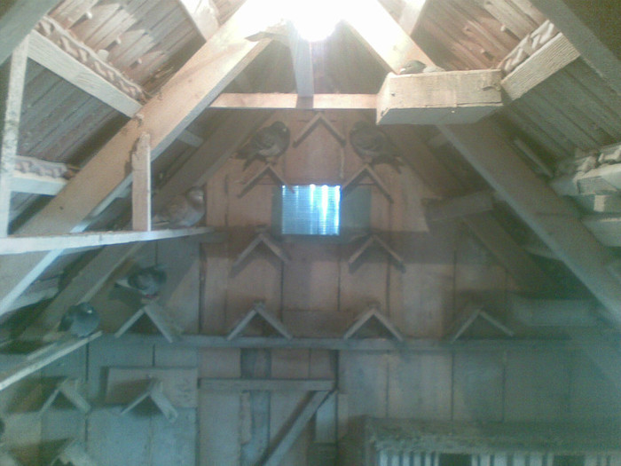 05022012(024) - Poze noi