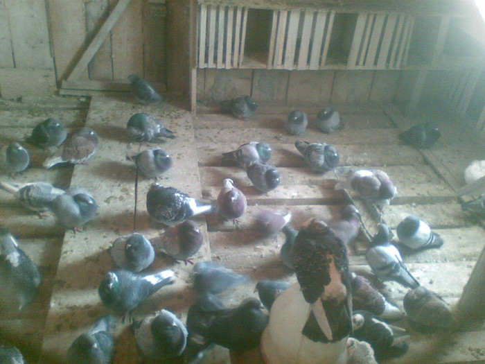 05022012(025) - Poze noi