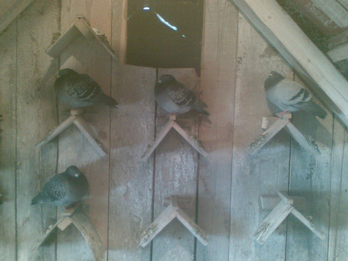 05022012(026) - Poze noi