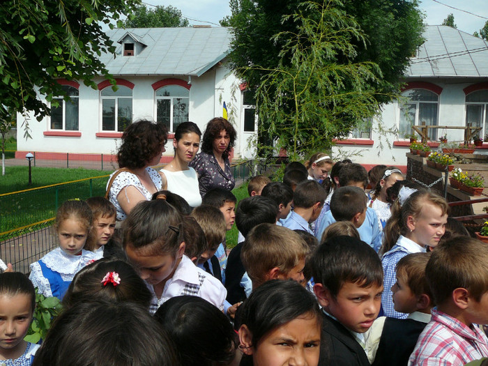 P1270086 - 2011 - Inaltare