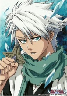 973078 - Hitsugaya Toushirou