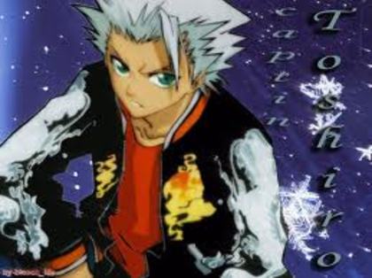 ~ Bleach~ (58) - Hitsugaya Toushirou