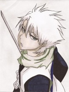 776292 - Hitsugaya Toushirou