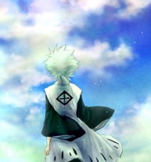 604165 - Hitsugaya Toushirou