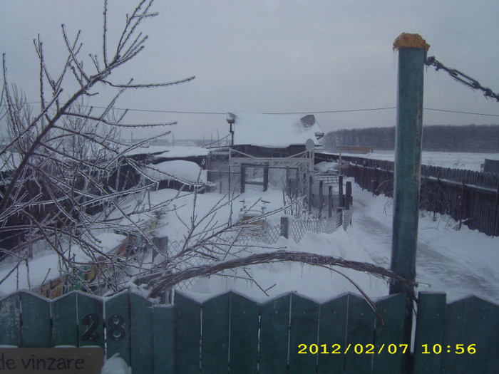 IMG_2897 - Snagov 2011-2012