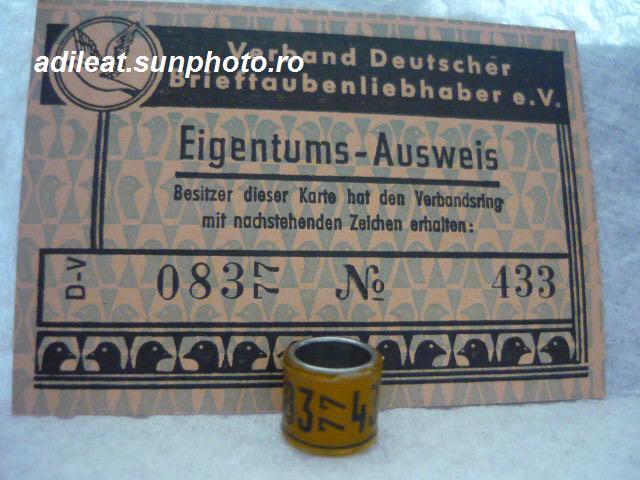 DV-1977 - GERMANIA-DV-ring collection